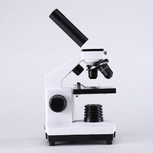 Kính hiển vi USCAMEL